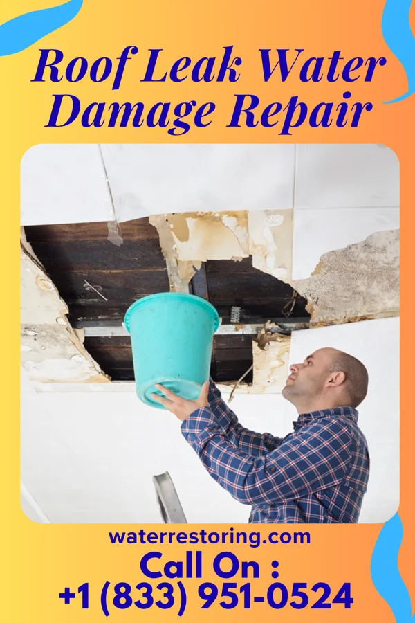 Roof Leak Water Damage Repair in Hardtner, KS
